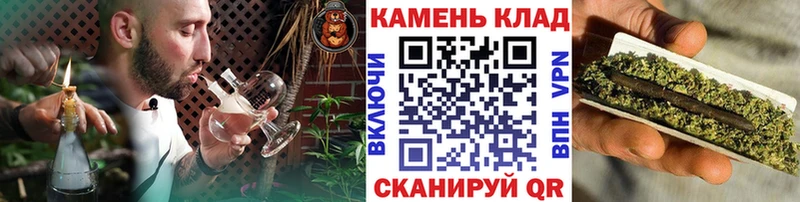 ГАШ Premium  сколько стоит  Плёс 